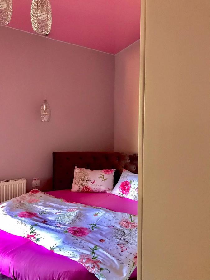 סינאיה Sweet Pink By Miro Apartment מראה חיצוני תמונה