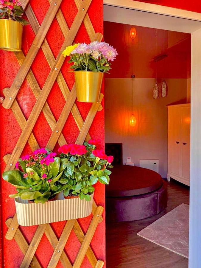סינאיה Sweet Pink By Miro Apartment מראה חיצוני תמונה